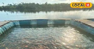 Read more about the article Fish Farming: गांव से शुरू करें मछली पालन, 6 महीने में होगी लाखों की कमाई, लागत भी आएगी कम… बस जान लें तरीका