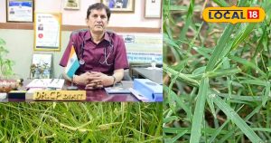 Read more about the article Health Tips: जिसे आप घास समझते हैं, वो है औषधियों का खजाना… जानिए दूर्वा के चमत्कारी फायदे