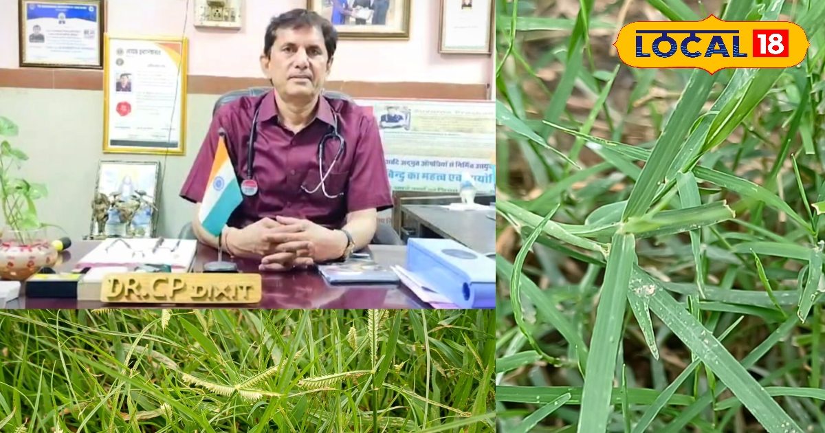 You are currently viewing Health Tips: जिसे आप घास समझते हैं, वो है औषधियों का खजाना… जानिए दूर्वा के चमत्कारी फायदे