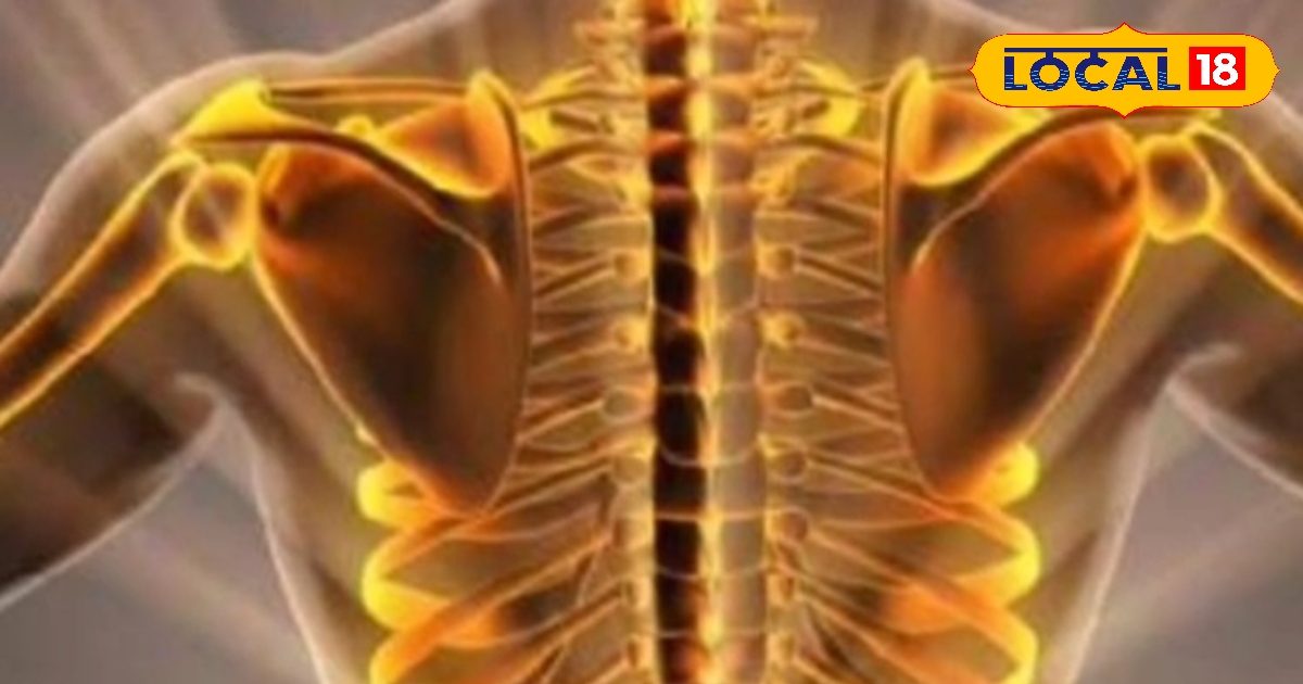 You are currently viewing Make bones strong and remove anemia: Doctor’s special recipe – Himachal Pradesh News