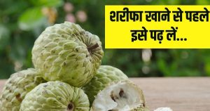 Read more about the article Health Tips: शरीफा खाने से पहले यह बात जान लें, वरना जाना पड़ सकता है अस्पताल…