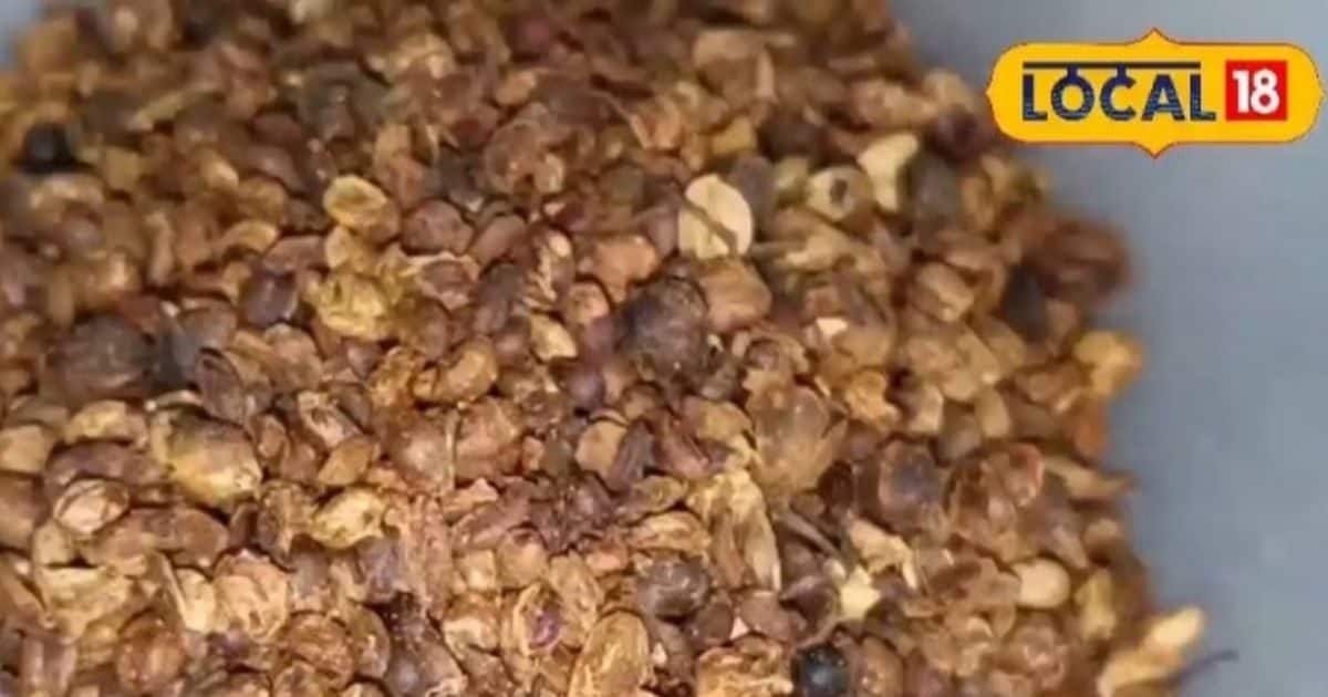 You are currently viewing Health Benefits: इस छोटे से बीज को कहते हैं आयुर्वेद का ‘सुपरहीरो’! बालों से लेकर जोड़ों के दर्द तक में करता है कमाल – Uttar Pradesh News