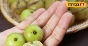 Read more about the article Health tips : बुढ़ापे में दिखोगे बांका जवान, अभी से शुरू कर दें इस खट्टे फल का सेवन, पोते की उम्र वाले कहेंगे भैय्या – Uttar Pradesh News