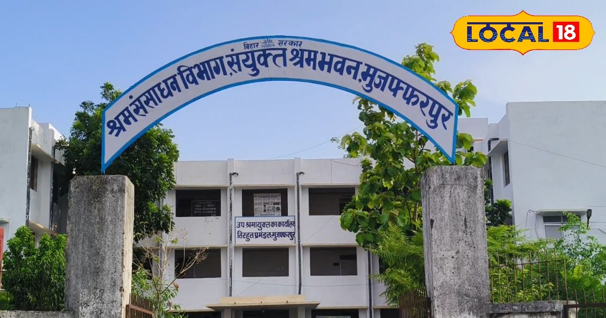 You are currently viewing Muzaffarpur Job Camp 17 November Golden Chance for 120 Posts Recruitment