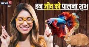 Read more about the article बहुत शुभ होते हैं ये 5 जीव, घर में पालने से दिन-दूनी रात चौगुनी बढ़ेगी तरक्की, धन की भी कभी नहीं होगी कमी!